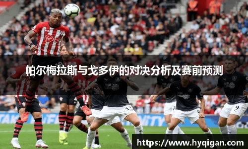 帕尔梅拉斯与戈多伊的对决分析及赛前预测